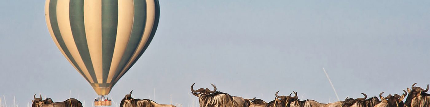 12 Days Gorilla Trekking & Wildebeest Migration Safari