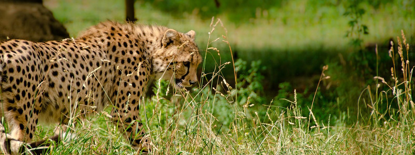 Kenya Tour Holidays