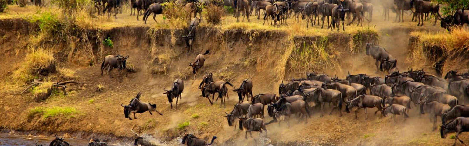 15 Days Great East African Vacation