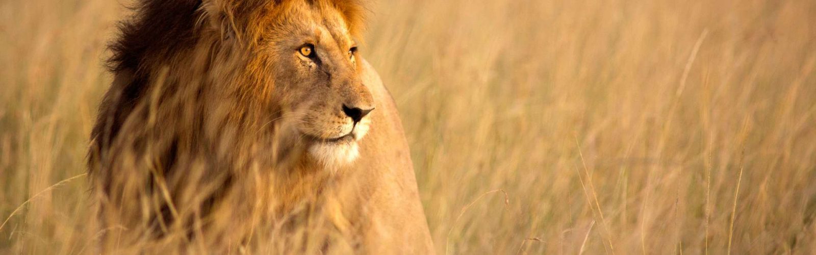 21 Days Grand East African Holiday