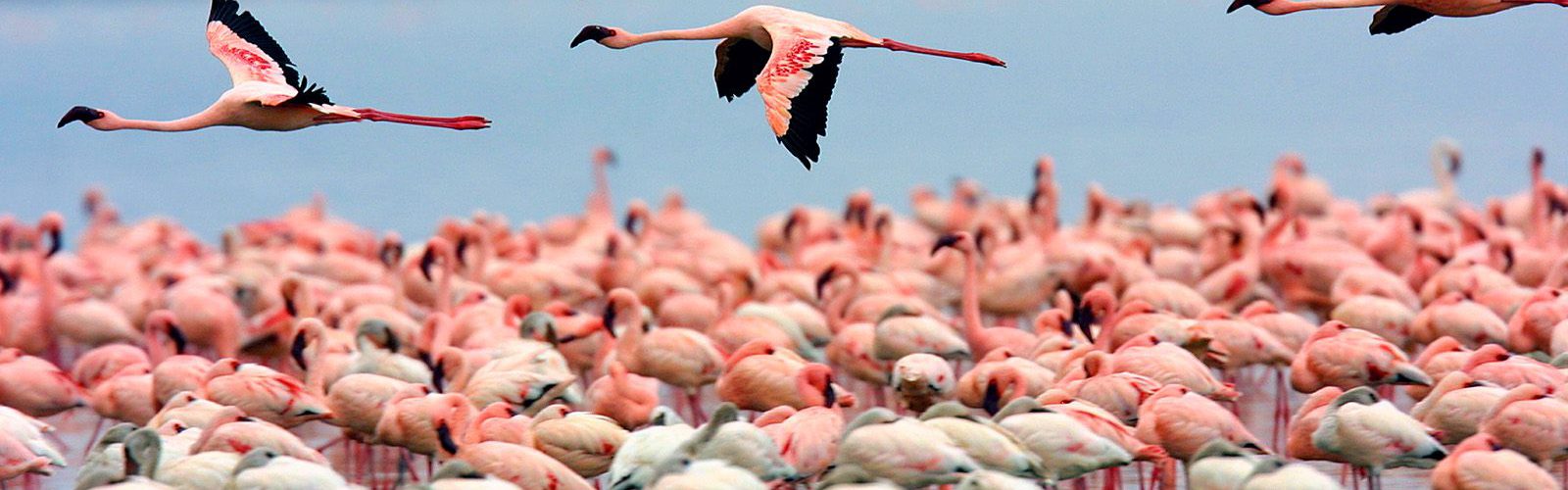 Lake Nakuru National Park